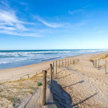 Apparement Vue Sur La Dune